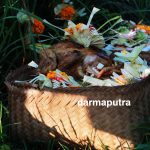 Upacara Kesabaran